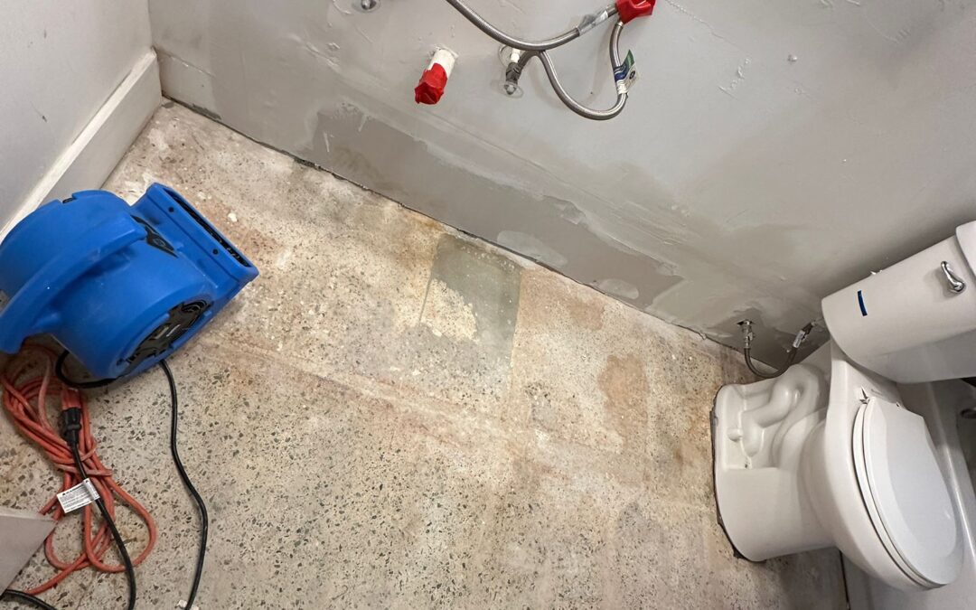 Restauración por Daños de Agua y Fuego